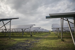 Американские производители солнечных панелей просят защитить их от китайцев